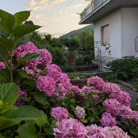 Apartment La Casa Di Cisotta